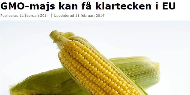 Eleverna är visst intresserade