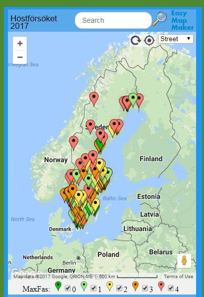 Skarpa exempel Fältstudie - Fenologi Forskning Fenologi handlar om årligt återkommande faser i naturen, såsom lövsprickning, blomning, höstlövsfärger, flyttfåglarnas