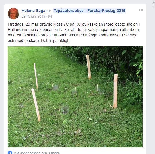 Skarpa exempel Forskarfredag Förmultning Växthuseffekt Olika sorters te Vägning före och efter Samma PET-flaskor i