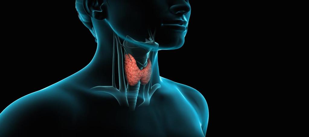 KVALITETSINDIKATORER THYROIDEA Andel primär registrerade >95 % Andel uppföljda efter 6 månader >95% Preoperativ laryngoskopi vid
