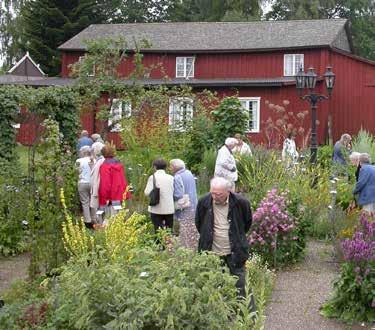 Guidningar, vandringar och föredrag Kerstin Ljungqvist berättar gärna om växternas användning, om medicinalväxtodlingen och rektor Henriksson, om apoteket, hälsobrunnen, sanatoriet,