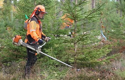 allt annat för vårstädningen.