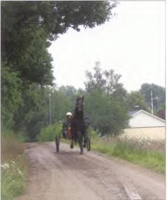 Den traditionella bebyggelsen har växt fram i samspel med landskapet, men med dagens pågående snabba förändringar finns risk att detta samspel bryts och landskapets särart försvinner.