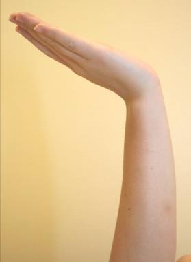 pronerad Referenser: Parallellt med ulna Parallellt