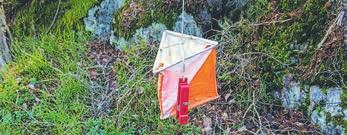 8 3 mars 9 mars 2018 Flyttfirma FLYTTFIRMAN med högsta kvalitet & ansvar 08-643 58 30 Nu med RUT-avdrag! Bil med chaufför 563:-/tim. Bil med 2 man 763:-/tim. Bil med 3 man 963:-/tim. www.texab.