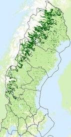 Med en historisk, nutida och framtida påverkan av skogsbruk behöver tillämpning av grön infrastruktur baseras på bästa möjliga underlag om var och hur befintligt skyddade skog kan kompletteras med