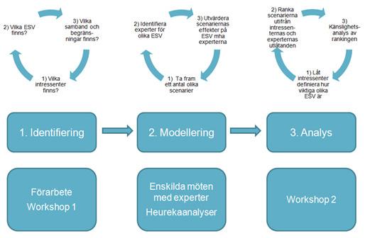 GRUPP 2 D: Värde- och kunskapsbaserade scenarier för ett hållbart brukande av skogliga landskap Inledningstalare: Karin Öhman, SLU, Eva-Maria Nordström, SLU.