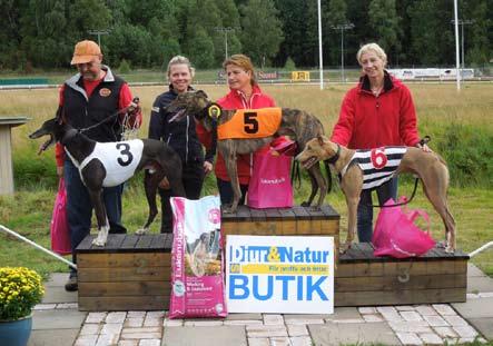 Playa Marina, 33.32. 4:a By By Mary Fly, 33.36. 5:a Risto, 33.37. 6:a Smala Sussie, 33.38. Miljöhallen Golv, Whippet, Elit, 492 m. 1:a Wake Up Call, 32.44. 2:a Grimar, 32.80. 3:a Red Bull, 32.81.