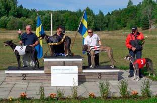 24/8. ANF Precept Mälartrofén, 510 m, Fr. v. tvåa Wild Run Man, 31.41. Hans Bohman, ÖHK-NoHS, etta Smala Sussie, 30.74, Mikael Lundberg, VHS trea Aussie Green, 31.41. Marko Vuopponen, VHSfyra Risto, 31.