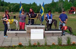 64. 3:a Cocacola Kid, 34.93. 4:a CA-Glavio, 34.96. 5:a X-Ray, 35.07. 6:a Mr Challenger, 35.71. Lördag 14/9. 7 lopp. Graderade. Badelunda Race, 510 m. 1:a Kernel O'Key, 30.85. 2:a Mr Benchmark, 30.88.