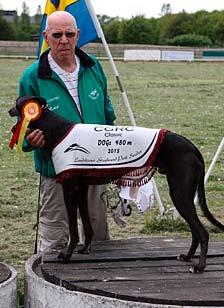 CGRC Classic, mixed whippet 480 m, vinnare Grimar, 20.32, K Eriksson, SDA-GHK. GHK. 2:a Bull Fighter, 20.50, Torsten Axelsson, 7HS. 3:a A Ben Nevis, 20.93, Camilla Andersson, SkHK. 4:a Marrachino, 20.