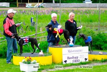 Järbo Race 26/5. 1:a böjen. Fr. v. Bad Romance, Moonami, Respect, Mr Benchmark. Järbo Race, 286 m. 1:a Ulvasteg, 17.09, K Lindberg, GHS. 2:a Ace of Diamonds, 17.36, Rikke Bankov, Danmark.