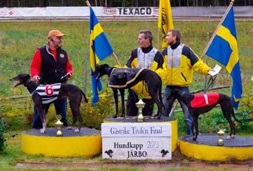 Semifinaler i Gästriketrofén. Juvenile Classic, whippet, 280 m. 1:a Xanté, 19.10, Peggy Lundqvist, SHS. 2:a Xanthos, 19.44. Britt-Marie Sjöberg, VHS. 3:a X-Ray, 19.45, Åke Ericsson, GHS. 4:a Xavi, 19.
