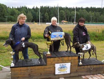 Steinbrecher, Tyskland, etta Cashen Gerry, 18.99, P. Steinbrecher, Tyskland, trea Moonshadow, 19.