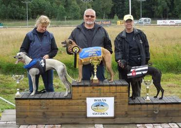 EM Whippet Tik Sprint 320 m. Fr. v. tvåa Riva, 19.90, G Bettinelli, Italien, etta Oxana, 19.83, T.