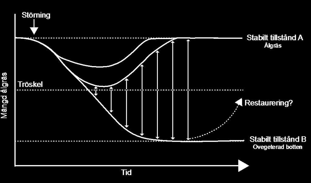 Figur 3.7. Regimskiften.