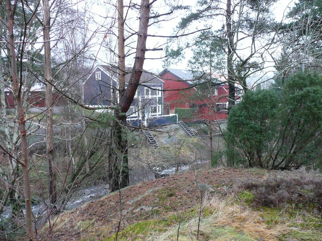Mark och vegetation Ett naturvårdsutlåtande har tagits fram av Naturcentrum AB i maj 2010. I den finns naturvärdesbeskrivningar av landmiljön, Mölnebäcken och fågellivet.