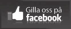 Aktuellt i SAMHÄLLSINFORMATION FINSTRÖM DISTRIBUERAS TILL ALLA HUSHÅLL OCH FÖRETAG I FINSTRÖM NR 2/ FEBRUARI 2018 Gitarrkonsert i Finströms bibliotek med Christoffer Isaksson