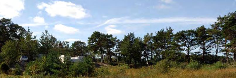 07J 0A 30 KLASS 2 KÄRR 3300 M VNV VÄSKINDE K:A Topogent kärr, 0,5 ha, 9 m ö h. Fältinv. 2007-09-13. 0,5 ha. Svag lokal påverkan från bebyggelse. Rikkärr. Element 1: Golv, 10 % av delobjektytan, öppet.