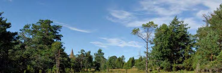 2007-08-29 Ingår i Ängs- och hagmarksinv., Ängs- och betesmarksinv Delobj.
