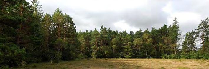 Objekt 06J 1A 30 utgörs av ett flackt kärr på bleke med källbildning Element 5: Golv, 10 % av delobjektytan, Mycket