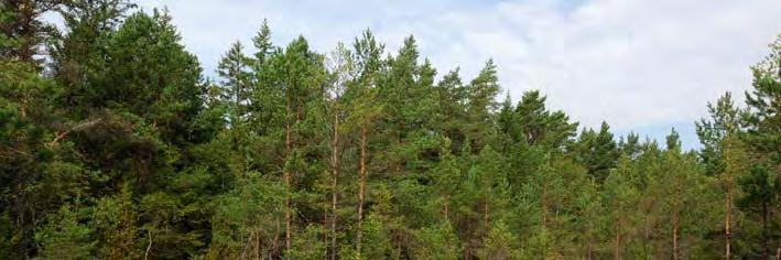 naturvärden.