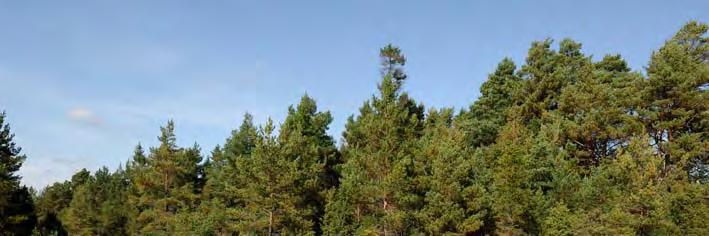 06J 2A 11 Fint kärrområde som är starkt påverkat av framför allt dikning men även avverkning.