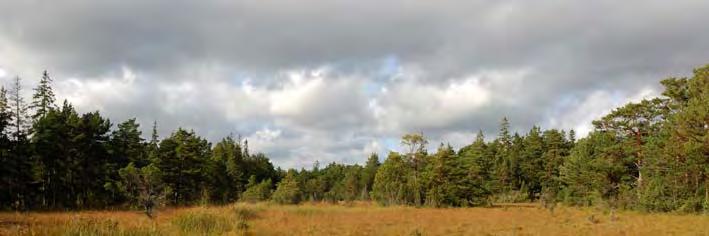 06J 3D 45 KÄRR 4300 M SSV ALA K:A Topogent kärr, 3,9 ha, 47 m ö h. Delvis naturskyddat. 3,9 ha. Rikkärr. Element 1: Golv, 10 % av delobjektytan, öppet. Agvegetation. Lösbotten.