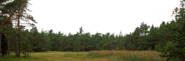 06J 4G 36 KÄRR 1700 M NV ÖSTERGARN K:A Topogent kärr, 0,2 ha, 12 m ö h. 0,2 ha. Rikkärr.