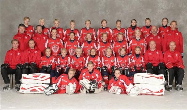 Team 03 Gruppen har under säsongen bestått av 26 grabbar och 9st isledare. Vi har genomfört 100 st ispass med en medelnärvaro på 72 % och spelat 38 st matcher.