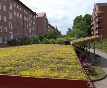 Temperaturskillnaden kan vara flera grader mellan en hårdgjord yta och en vegetationsklädd yta.