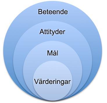 Värderingar är