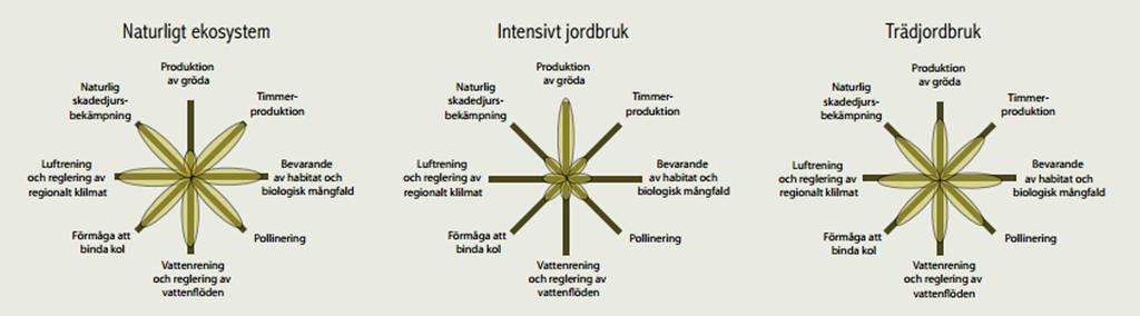 Källa: Foley et al.