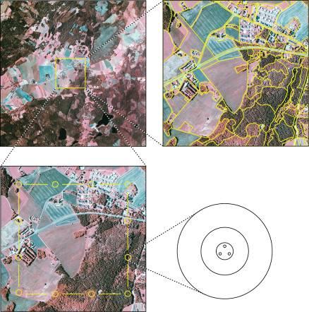 Utformning av datainsamling 631 landskapsrutor, 5 års inventeringsintervall Flygbildstolkning: 25 km 2 ruta med översiktlig tolkning 1km 2 ruta med detaljerad tolkning Fältinventering: 12