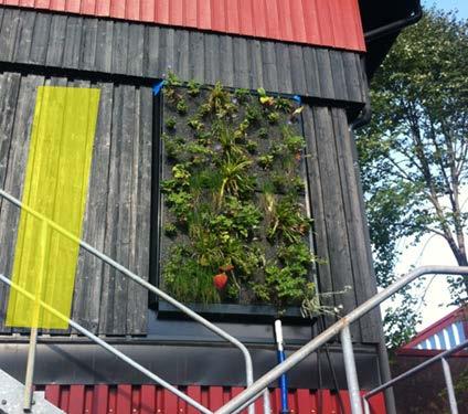 RISE Gröna vägg, Borås Den gröna väggen i Borås monterades 2013 och har därefter studerats av RISE och ingått i projektet C/O City under steg 2