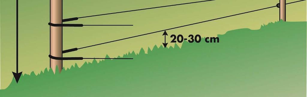Därför är det viktigt att åtminstone de tre nedersta trådarna monteras med max 20 cm mellanrum. Denna typ av stängseluppsättning minskar framför allt risken för angrepp från varg och björn.