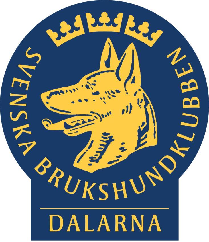 SBK Daladistriktet