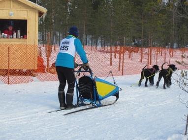 Hon var inbjuden tillsammans med två andra svenska instruktörer av Beredskapsstyrelsen, som har ansvar för danska räddningshundarna.