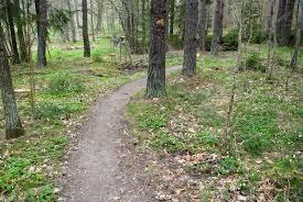 Stigen kantas av nässlor, så kom inte barbent! Måndagen den 11 juni kl 10.00 Vi samlas vid Plogstigens nordvästra ände. Gatan slutar med en grusplan där det är lätt att parkera.