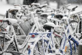 cykelstråk