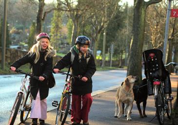 Åtgärder som innebär fler cyklister, t ex ett utökat cykelvägnät, medför alltså även en förbättring av cyklisternas säkerhet. Varför en handbok och vem ska använda den?