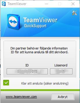 När du trycker på knappen minimeras kassan och det externa programmet Team Viewer startar.