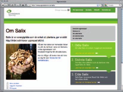 se/salix Här hittar du mer fakta om Salix, ekonomiska kalkyler, fördelar och exempel.