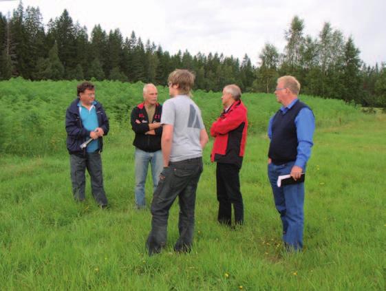 soderstrom@ovikenergi.se Hörneborgsverket. Erfarenheterna från Värmeforsk-projektet tas nu tillvara i föreningen Energiodlarna Nolaskog.