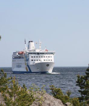 Viltbord på Eckerölinjen Torsdag 16 november Pris: 320 kr Buss avgår från Västerhamnsplan (färjan) kl 07.30, därefter Kronängsvägen, Pålsundsvägen, Eriksövägen samt Ica Resarö.