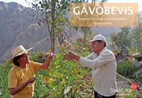 se/gavobevis Alla gåvor/insamlade medel godkänns och kontrolleras av Svensk Insamlingskontroll genom Svalorna Latinamerikas 90-konto.