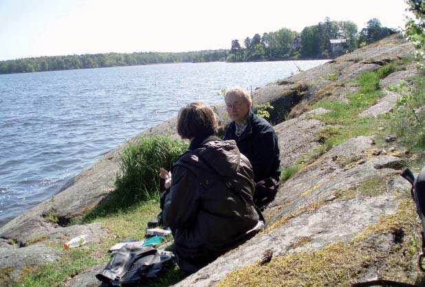 Vackra ekhagar med gamla jätteekar ger karaktär