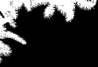 LYX/ VINEGRETTE