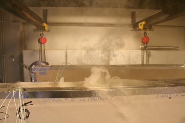 specimen FS6.