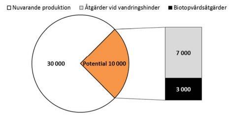 Beräknad smoltproduktion